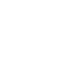 White Icon Sd